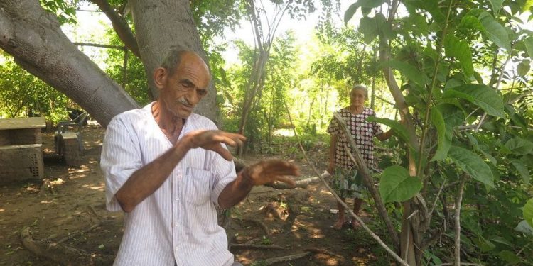 Agricultor do Cariri é homenageado com medalha ambientalista por criar sistema sustentável