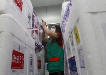 (Foto: Helene Santos/Governo do Ceará)