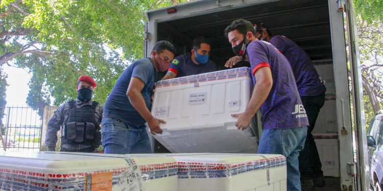 Ceará recebe mais 270,9 mil doses de vacinas contra Covid, incluindo o primeiro lote da Janssen