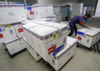 (Foto: Tiago Stille/Governo do Ceará)