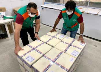 (Foto: Helene Santos/Governo do Ceará)