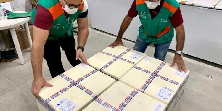 Remessa com doses da vacina Pfizer chega para garantir imunização de grávidas e puérperas do Ceará