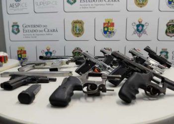 (Foto: Divulgação/SSPDS)