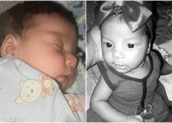 (Foto: Reprodução)