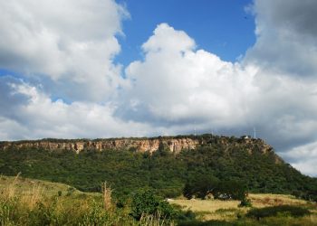 Floresta Nacional do Araripe comemora 75 anos de criação