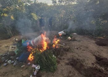 (Foto: Divulgação/PCCE)