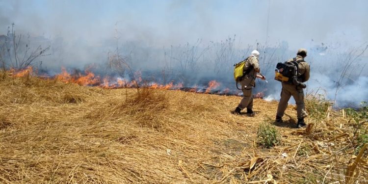 Incêndios florestais em 2021 crescem 164% em relação a igual período do ano passado no Ceará