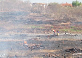 Temporada de queimadas se aproxima no Ceará e indicadores atuais crescem 154% em relação a 2020