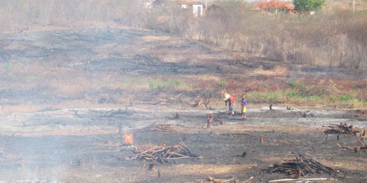 Temporada de queimadas se aproxima no Ceará e indicadores atuais crescem 154% em relação a 2020