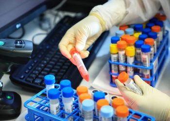 (Foto: Jose Fernando Ogura/AEN)