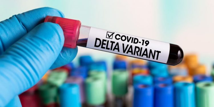 Com variante delta em 132 países, casos de Covid sobem 80% em 1 mês