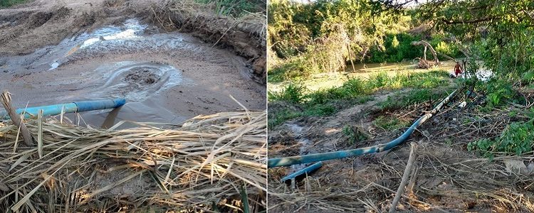 Suspeitos de crime ambiental são detidos por militares do BPMA em Crato