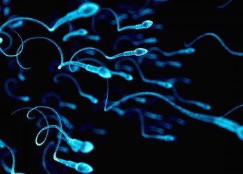 (Foto: Sebastian Kaulitzki/Science Photo Library)