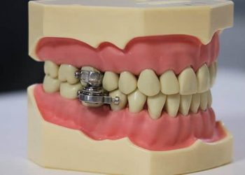 (Foto: Divulgação)