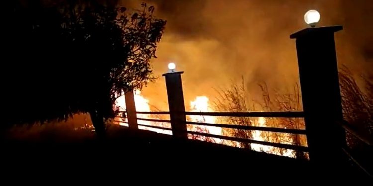Incêndio atinge vegetação do Horto em Juazeiro do Norte