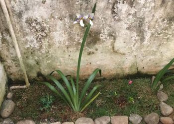 (Foto: Arquivo pessoal)