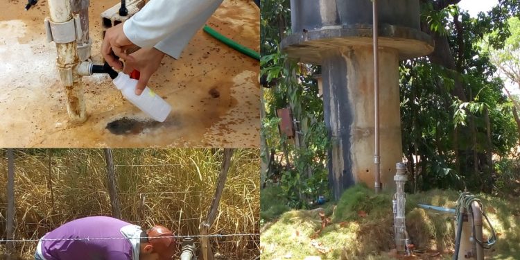 (Foto: Divulgação)