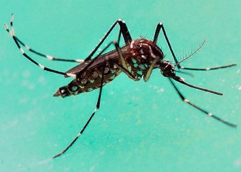 (Foto: Getty Images)