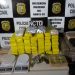 Polícia Civil apreende mais de 75kg de drogas em Juazeiro do Norte