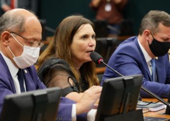 PEC é de autoria da deputada aliada de Bolsonaro Bia Kicis (PSL-DF) (Foto: Najara Araújo/Câmara dos Deputados)