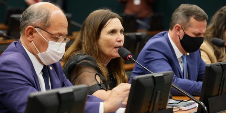 PEC é de autoria da deputada aliada de Bolsonaro Bia Kicis (PSL-DF) (Foto: Najara Araújo/Câmara dos Deputados)