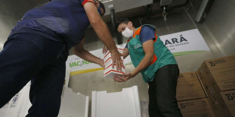 Ceará recebe mais 194 mil doses de vacinas contra Covid-19