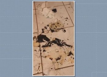 Parte da clínica onde incêndio provocado por mulher atingiu, no DF (Foto: Divulgação/PCDF)