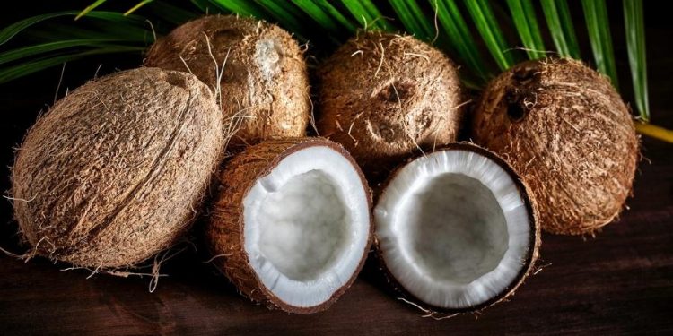 Da água à polpa: coco sacia e melhora ação do intestino; veja 6 benefícios