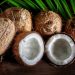 Da água à polpa: coco sacia e melhora ação do intestino; veja 6 benefícios