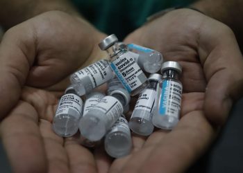 (Foto: Helene Santos/Governo do Ceará)