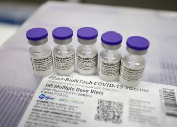 (Foto: Helene Santos/Governo do Ceará)