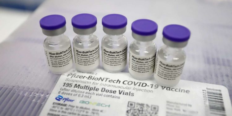 (Foto: Helene Santos/Governo do Ceará)