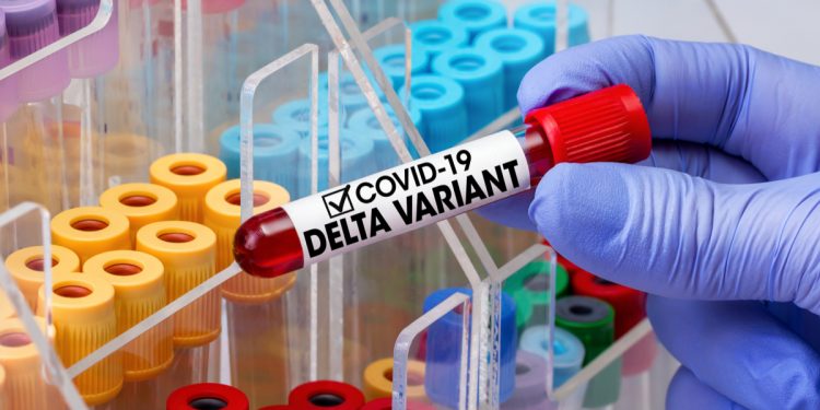 Para tentar impedir a entrada da variante delta, Crato realiza barreira sanitária a partir desta sexta-feira (13)