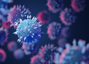 (Foto: Shutterstock)