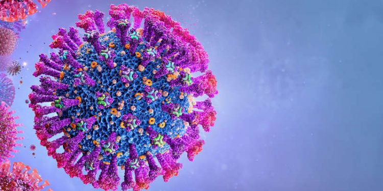 Variante delta pode se tornar dominante no País; entenda