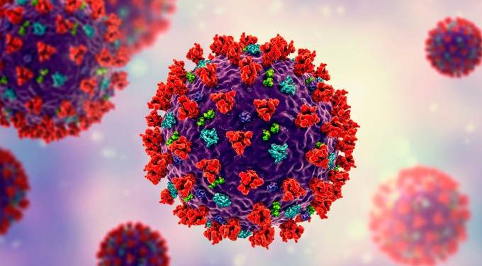 EUA conclui que Covid-19 não foi desenvolvida como arma biológica