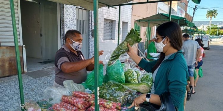 Feira orgânica mais antiga do Cariri volta a funcionar após mais de um ano, em Crato