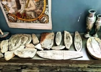 Fósseis roubados do Cariri são encontrados na casa de padre do Rio Grande do Norte (Foto: Reprodução)