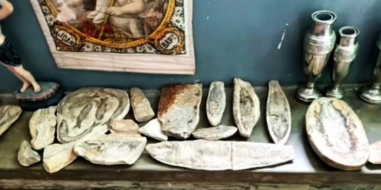 Fósseis roubados do Cariri são encontrados com padre investigado por roubo de artigos religiosos no RN