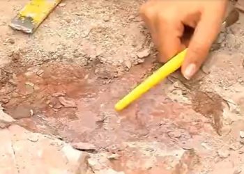 Imagem do espinho do dorso de tubarão incrustado em bacia fossilífera no Sul do Ceará; achado ocorreu nesta quinta-feira (5) (Foto: Reprodução)