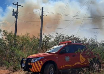 Incêndios em vegetações no mês de agosto já atingem uma entre quatro cidades do Ceará