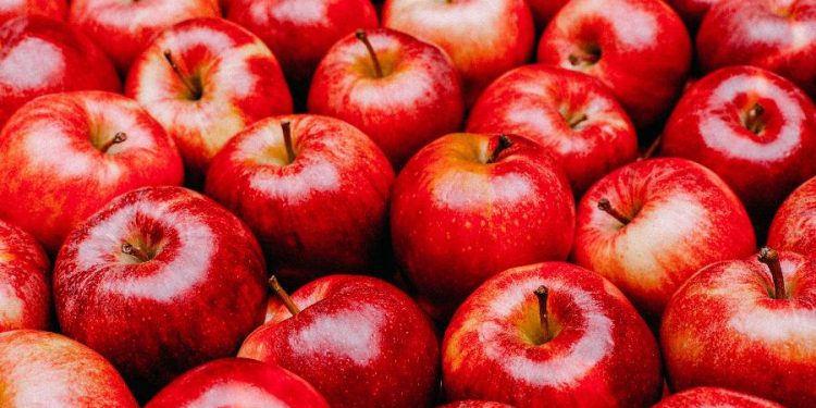 Melhora o colesterol e a digestão: 13 motivos para comer maçã todos os dias