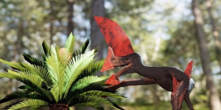 Salvo de contrabando, fóssil raro encontrado na formação Crato revela pterossauro com crista ‘gigante’ e dificuldade de voar