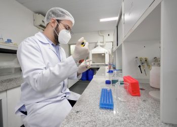 (Foto: Carlos Gibaja/Governo do Ceará)