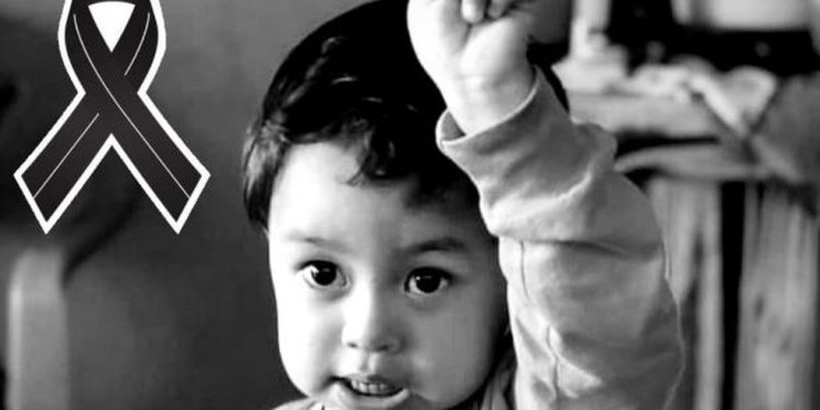 Menino de 2 anos é picado por animal não identificado e morre de causa desconhecida