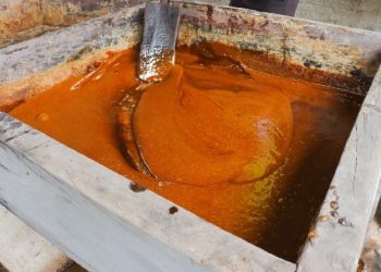 (Foto: Divulgação)