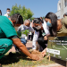 Profissionais do HRC e vítimas da Covid-19 são homenageados com plantação de mudas