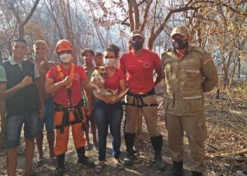 (Foto: Divulgação/SSPDS)