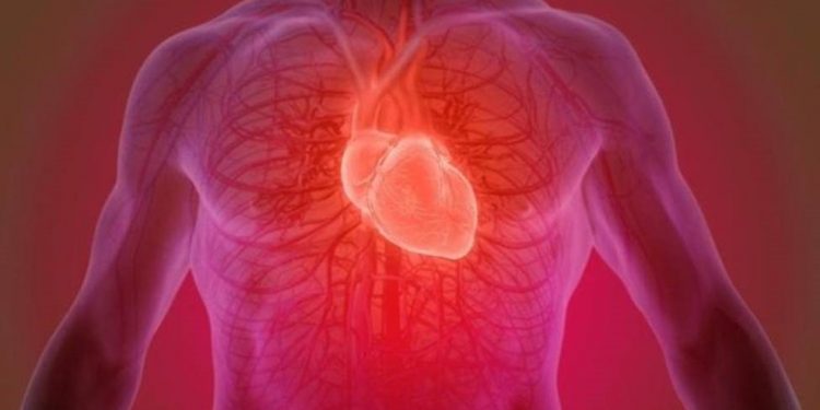 Dieta restritiva pode levar a ataque cardíaco e AVC; entenda como cortar alimentos pode até parar o coração