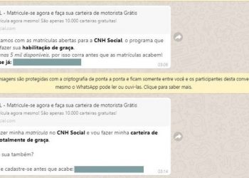 Golpistas tentam extrair dados das vítimas através de link falso (Foto: Reprodução)
